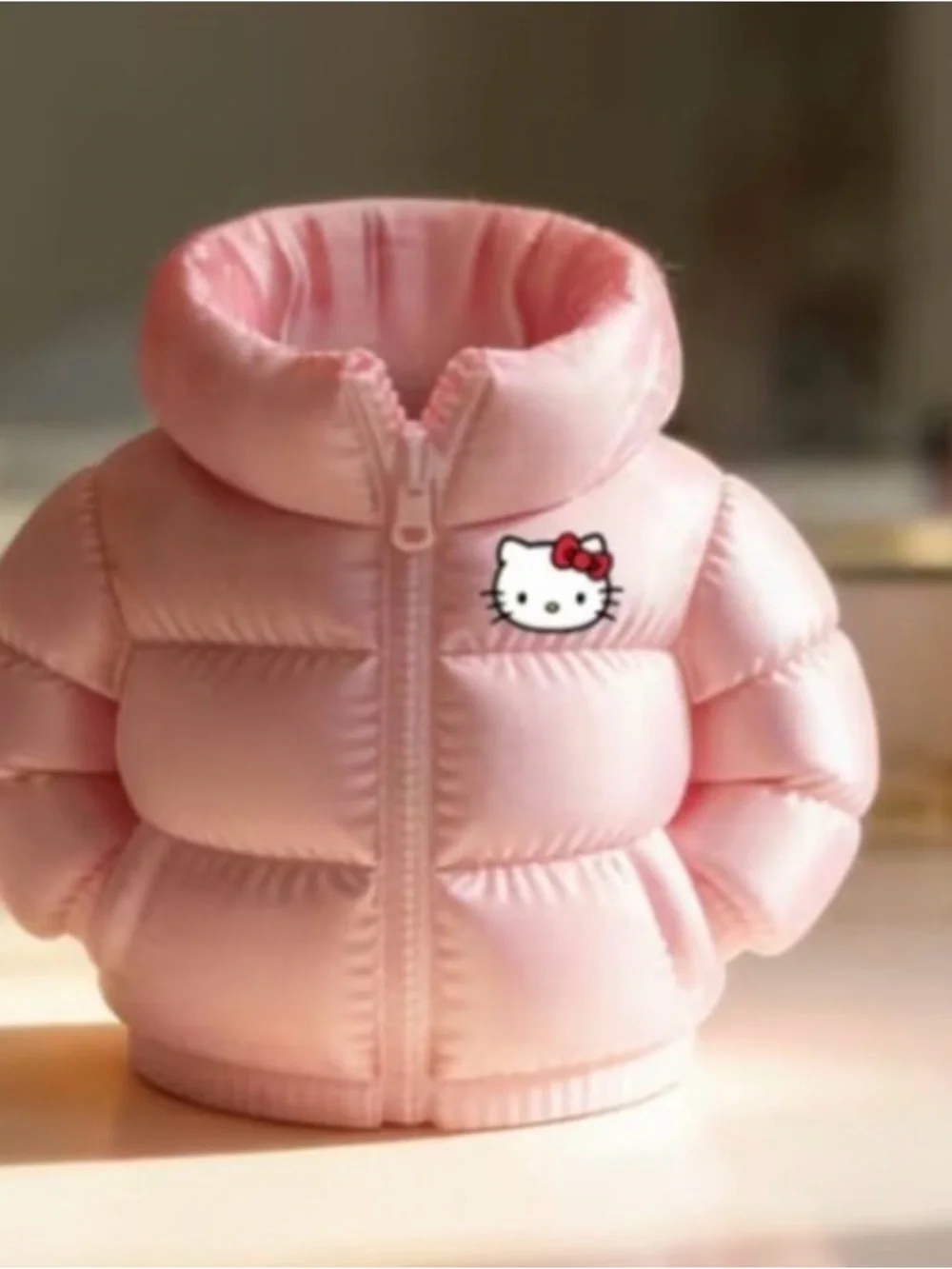 Hello Kitty Sanrio kawaii jacket make up brush pencil pen holder cute gift